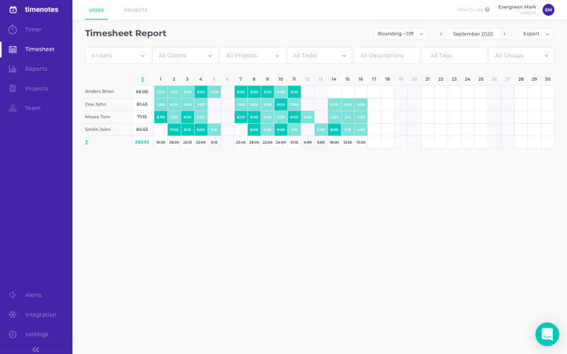 Employees time logs in timesheet